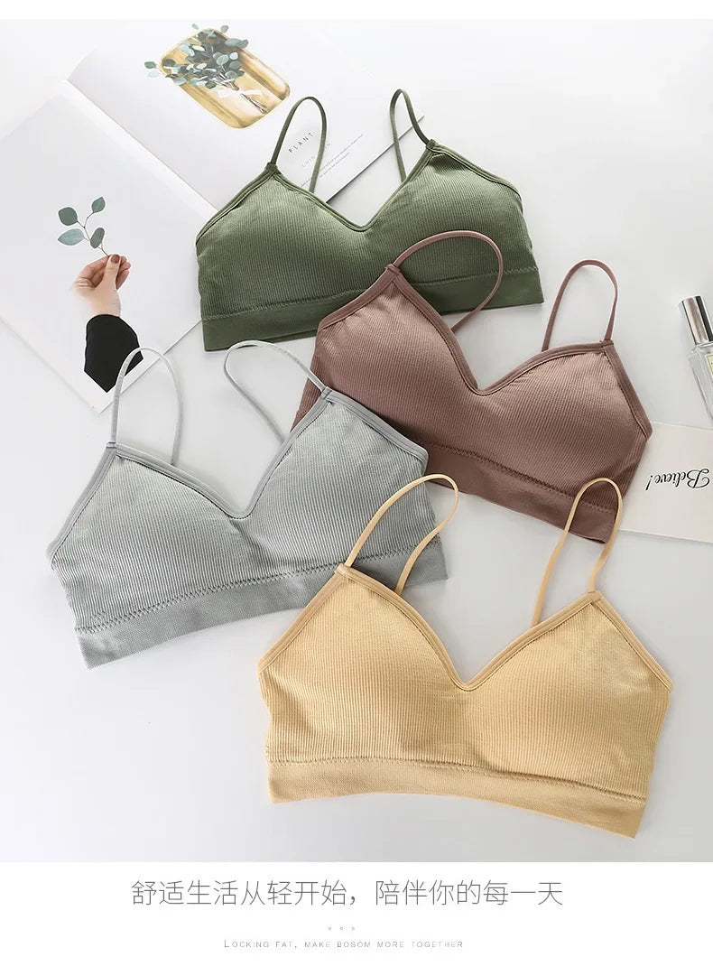 Bra push-up, unlined 