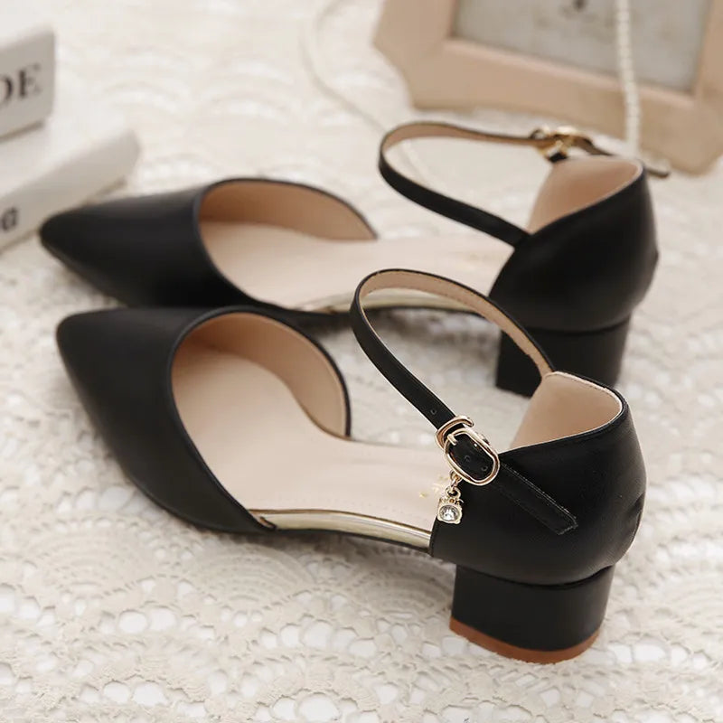 YZZJALK Women's Pointed Toe Pumps with Square Heel & Buckle Strap - Office Lady Style