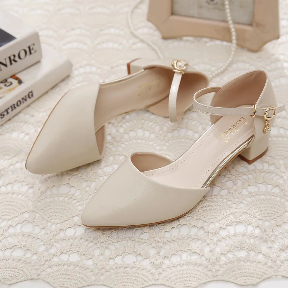 YZZJALK Women's Pointed Toe Pumps with Square Heel & Buckle Strap - Office Lady Style