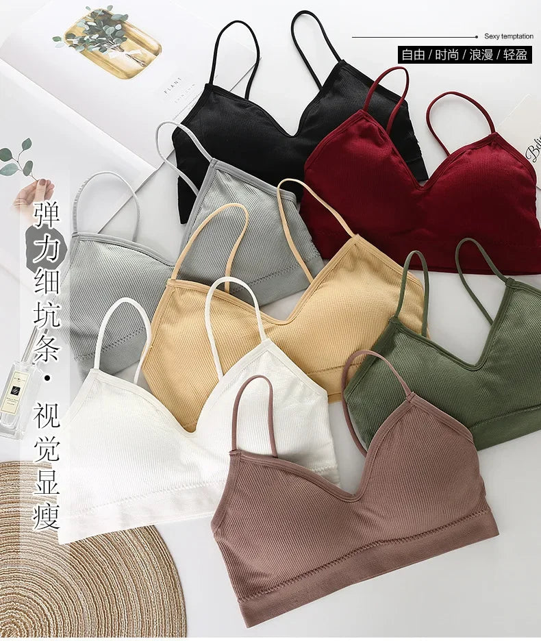 Bra push-up, unlined 