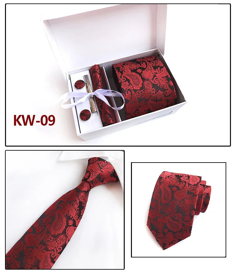 Men's Paisley Silk Tie Set